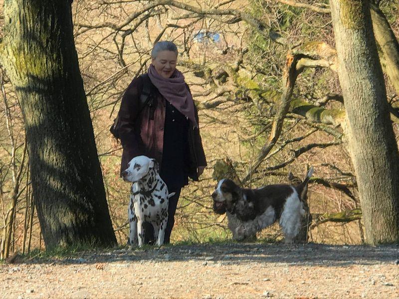 Stephanie - HonestDog Züchter