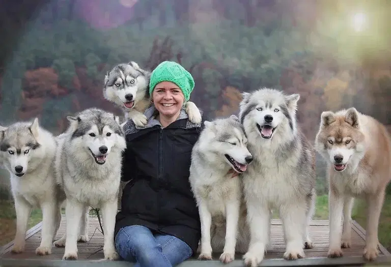 Patricia - HonestDog Züchter