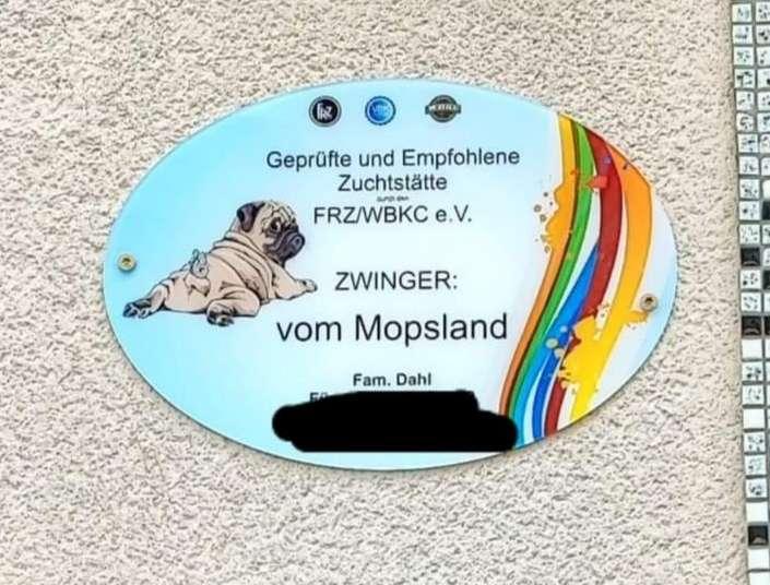 Vom Mopsland 