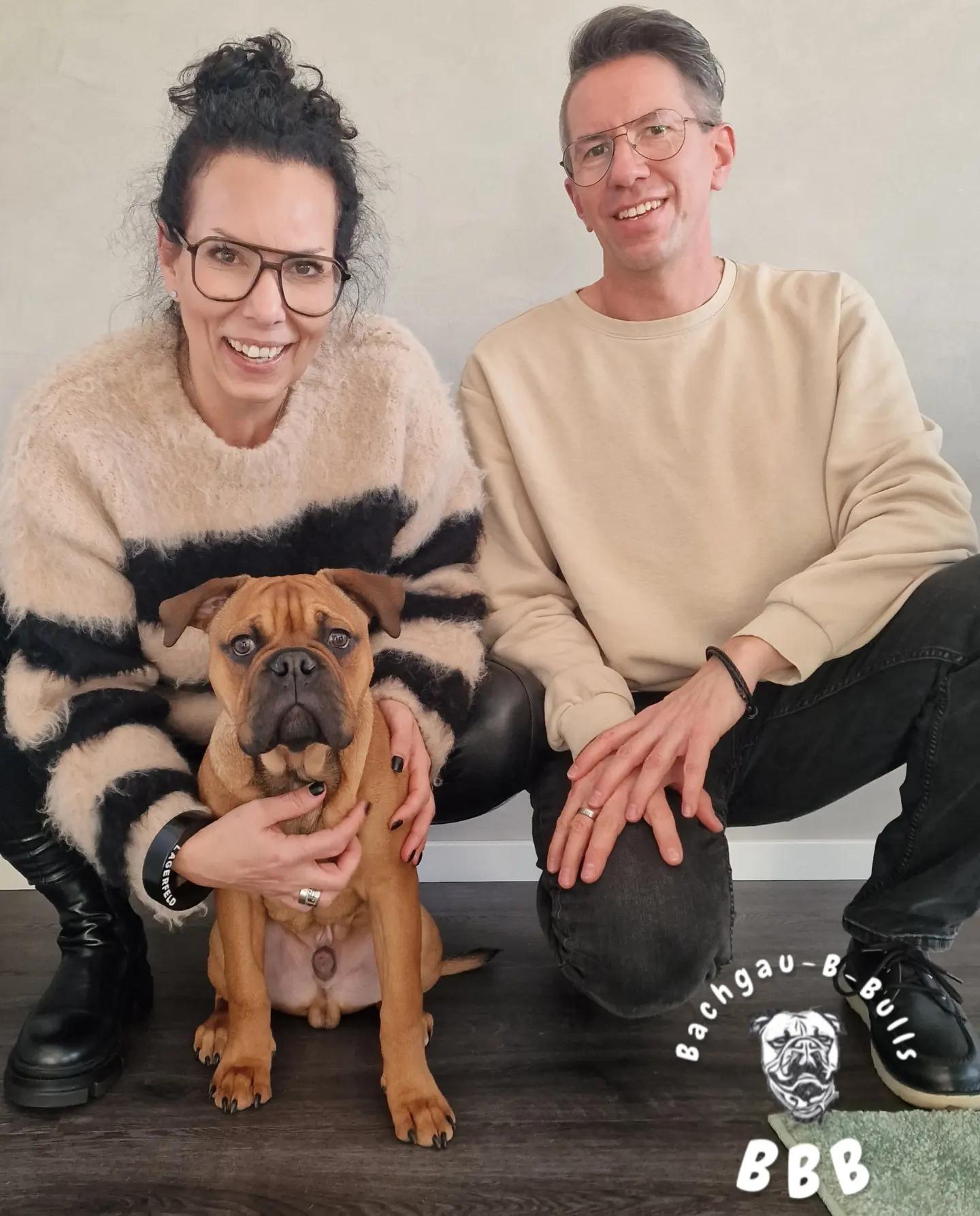 Bachgau_B_Bulls LIEBHABER Zucht