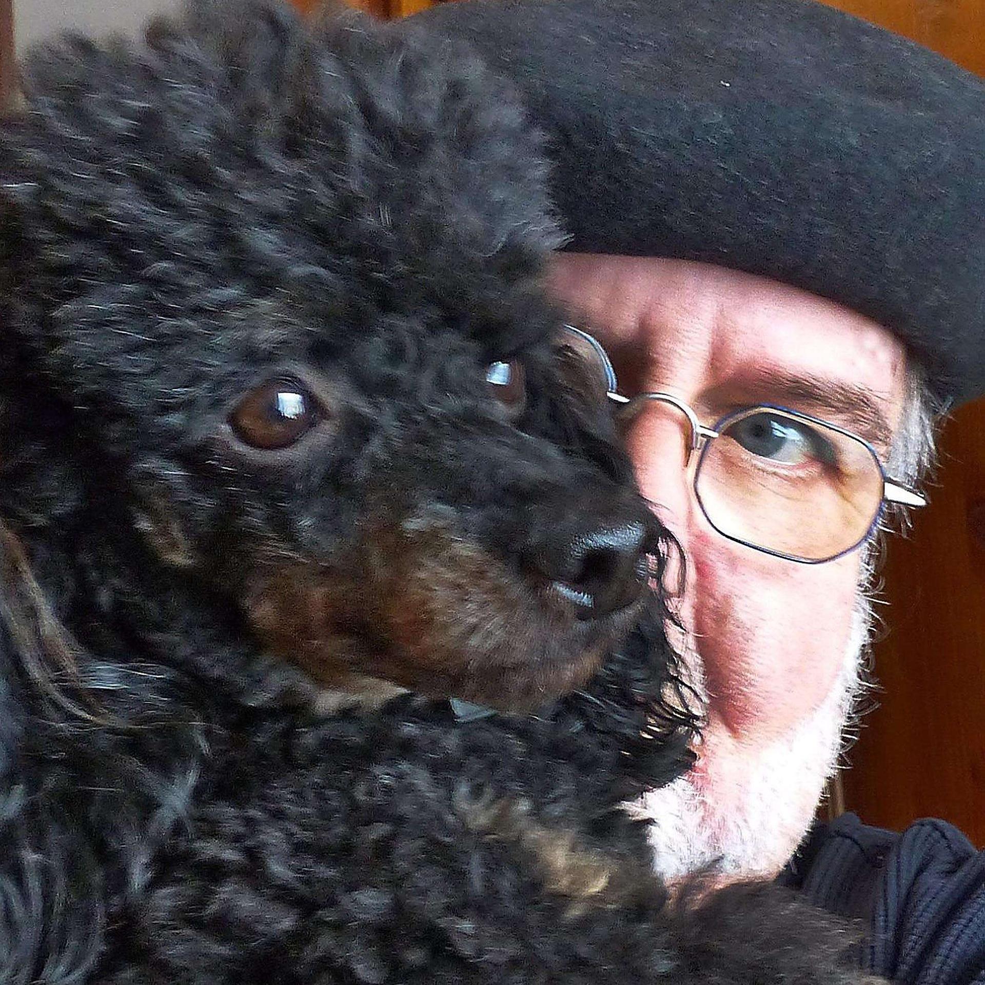 Pudelzucht SIMPLY-FANTASTIC