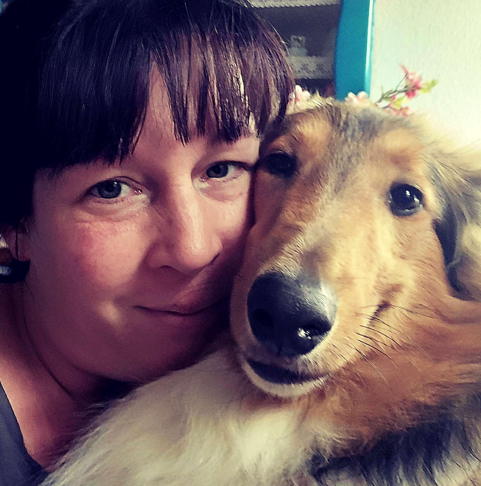 Amerikanische Collies vom Fraulauterbach 