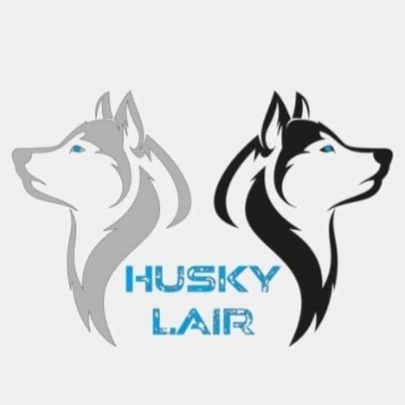 Familienbetreute Zuchtstätte für Siberian Husky 