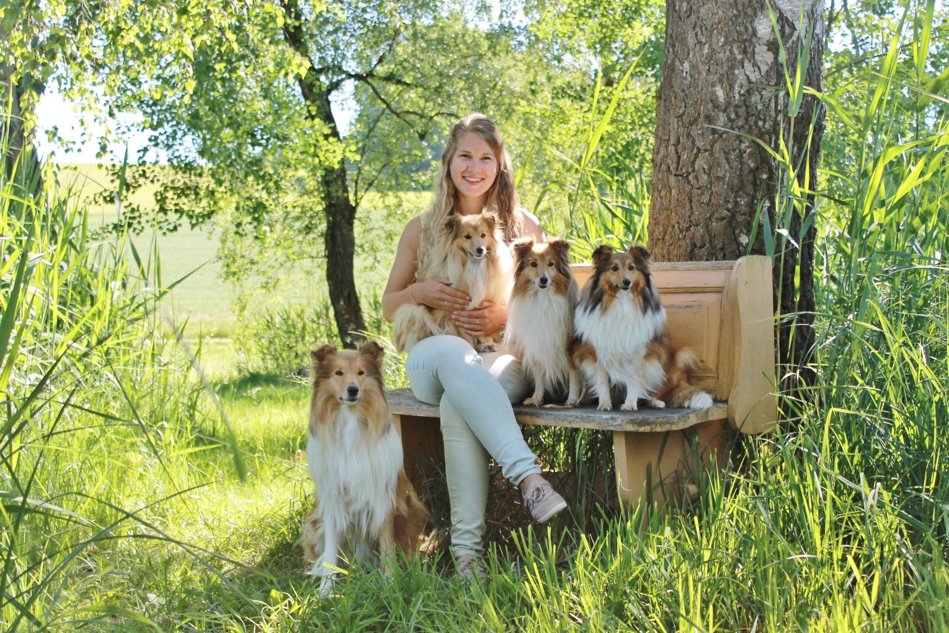 Sarah's Dream Shelties & Collies