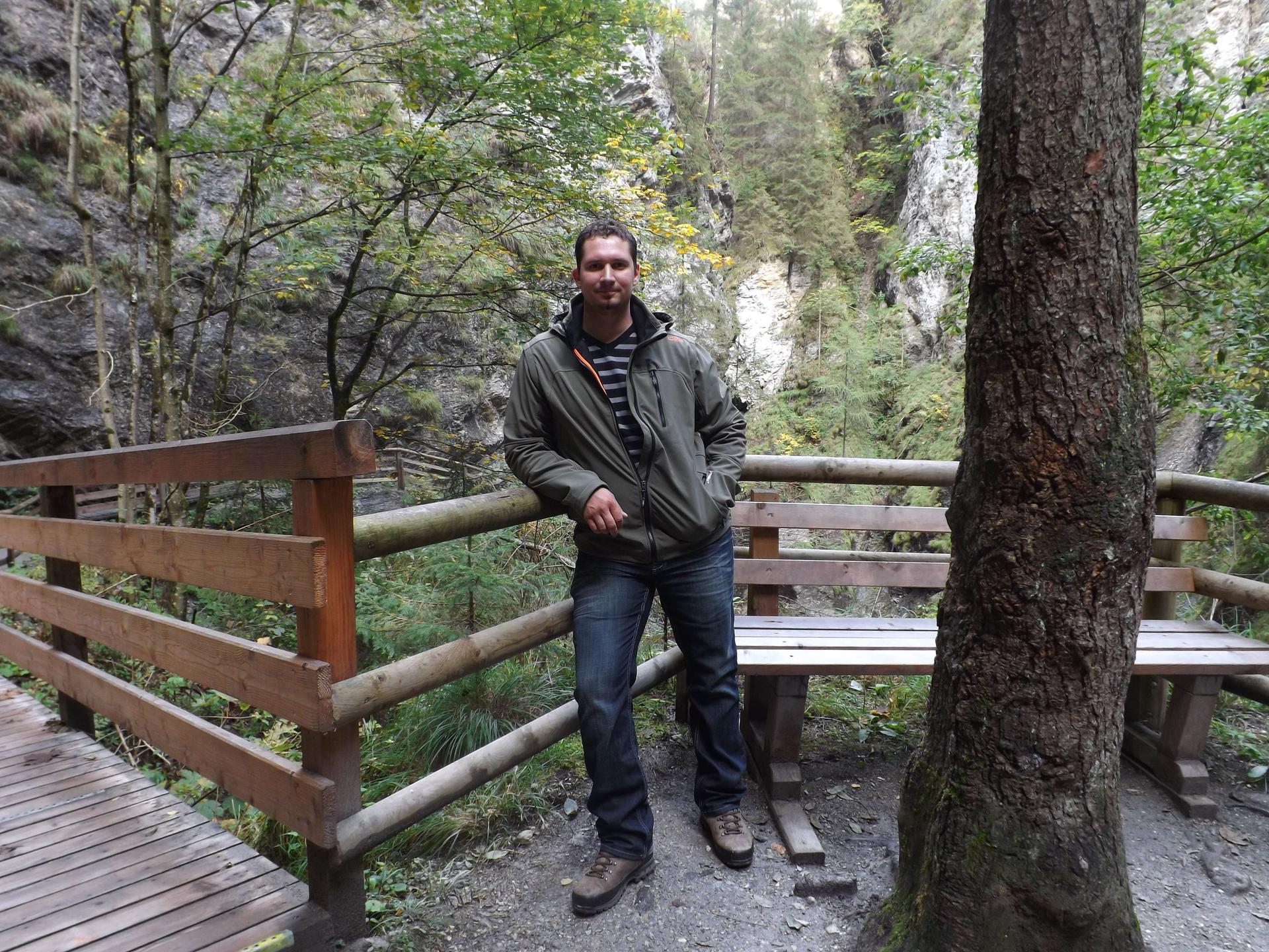 Großpudel und Labradoodle vom Wörther Schlösschen