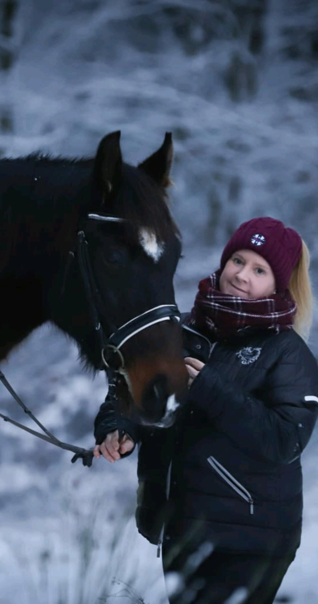 Spirit of Topenga's Mini Australian Shepherds 