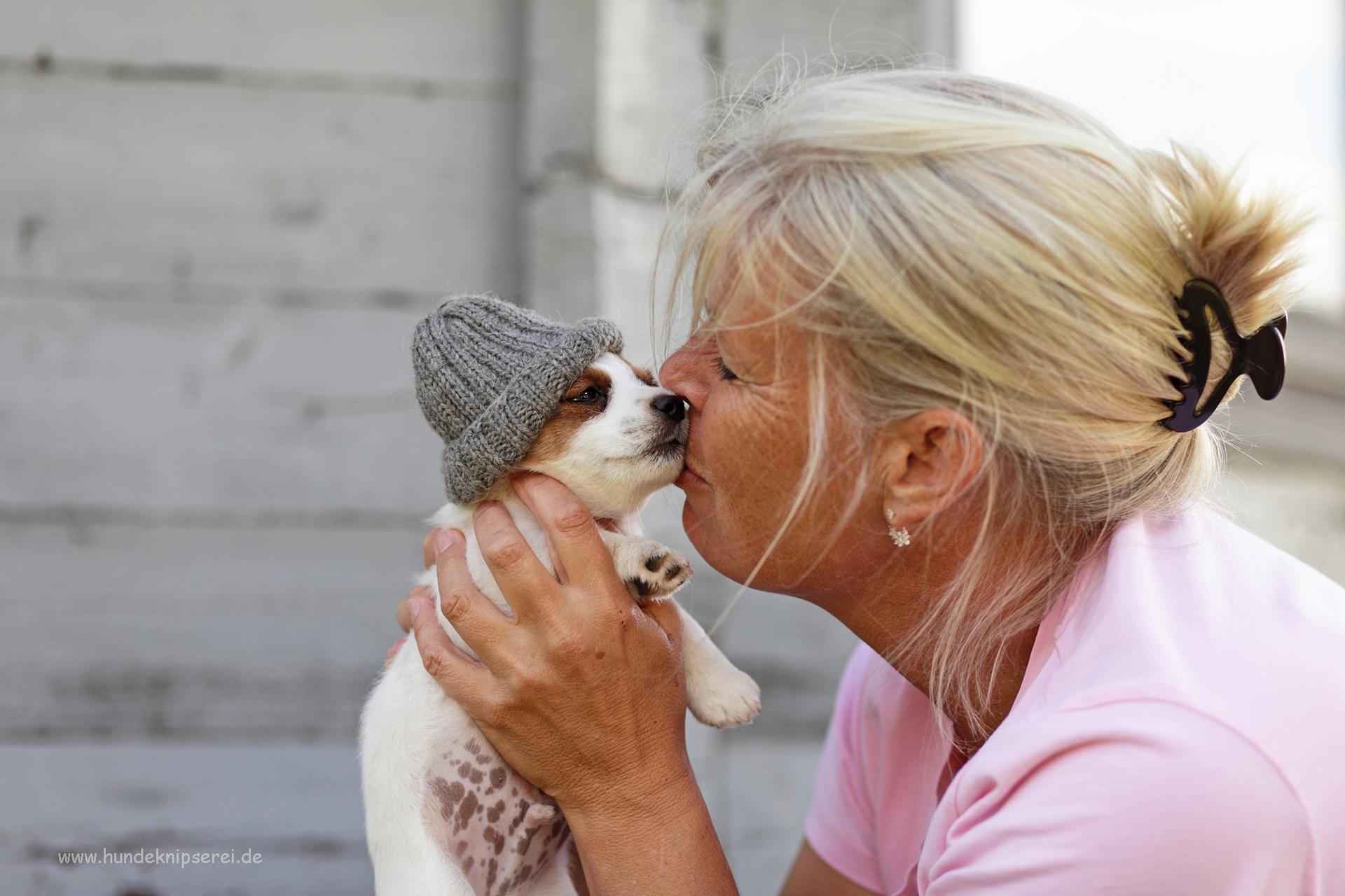 Jack Russell Terrier von der Bramau 