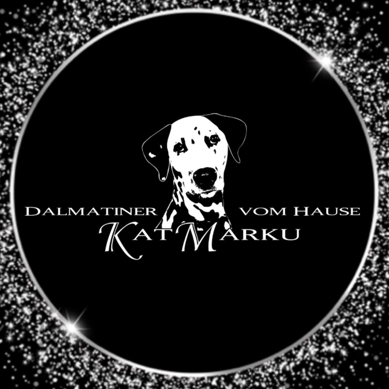 Dalmatiner vom Hause KatMarku