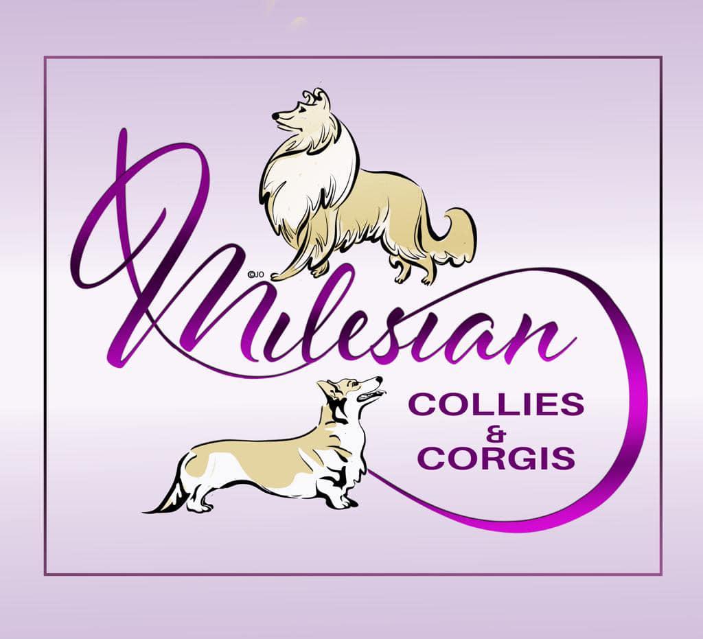 The Clan of Milesian 