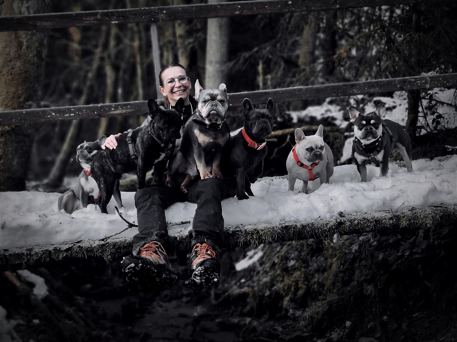 Von den bunten Strolchen 