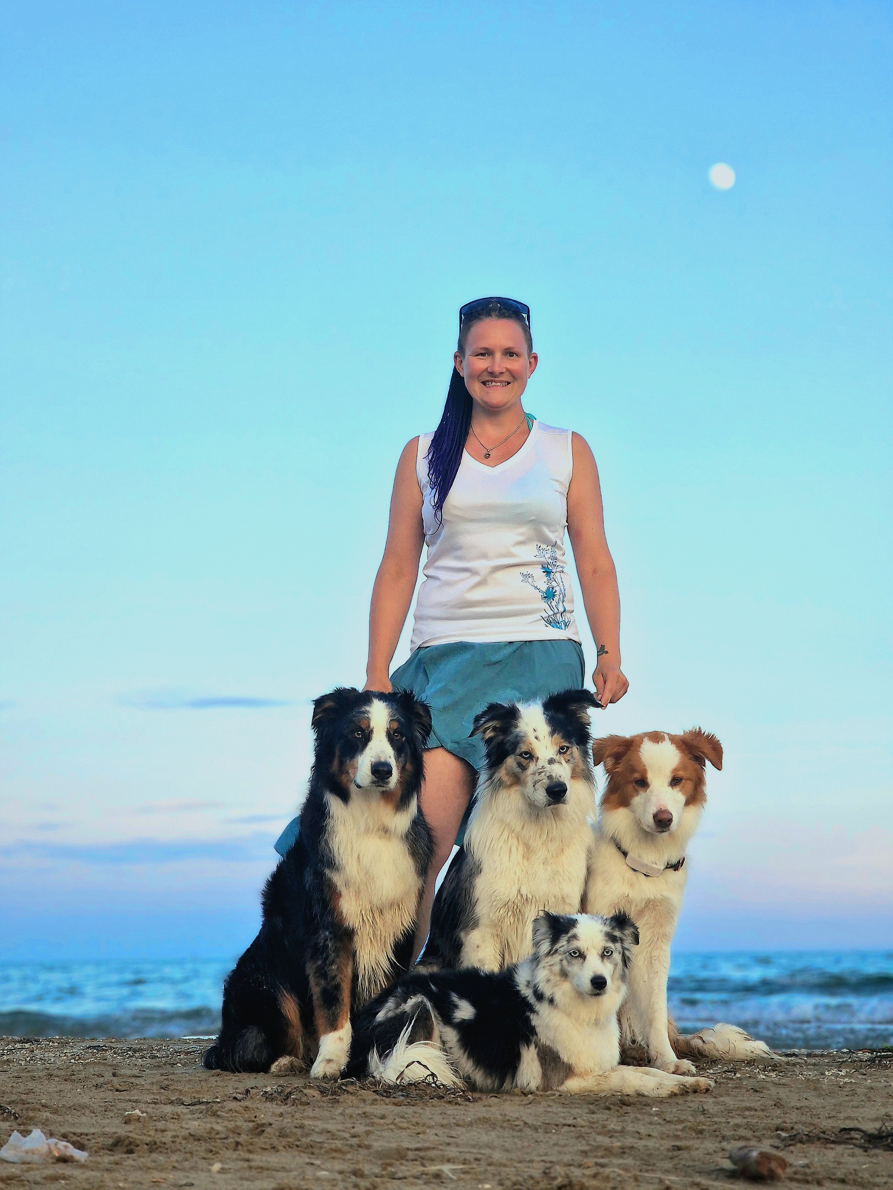 RedRockDragon Border Collies
