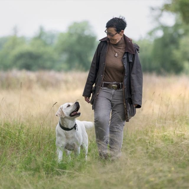 Labradore vom Hauendamm