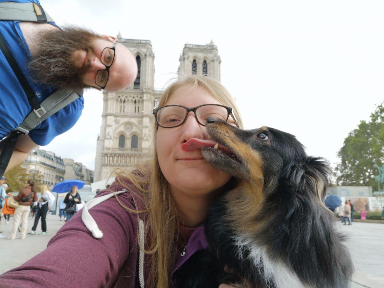 Shelties vom Nordlicht