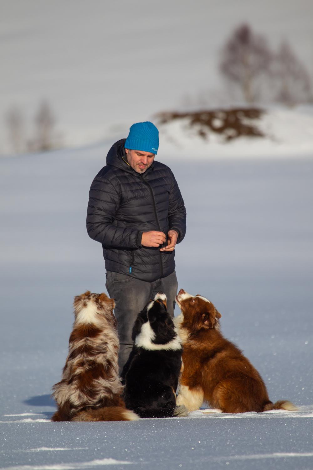 Aussies of Georgmountain