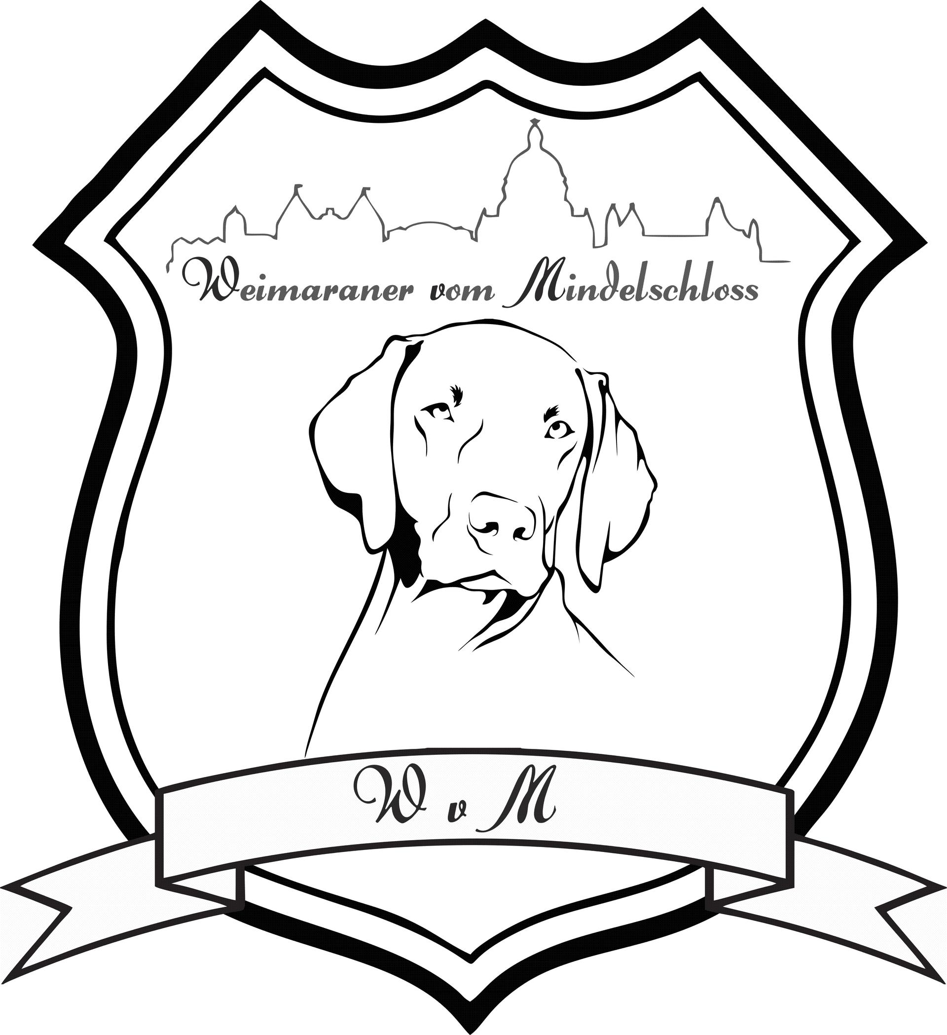 Weimaraner vom Mindelschloss