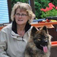 Eurasier von der Ravensburg