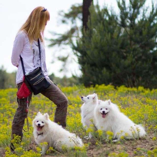 Edelweiss vom Buchenbach 