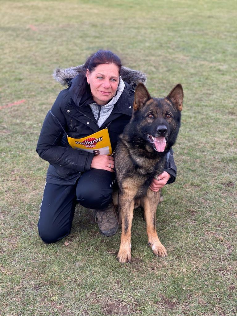 Bolonkas von Sweet Pearls