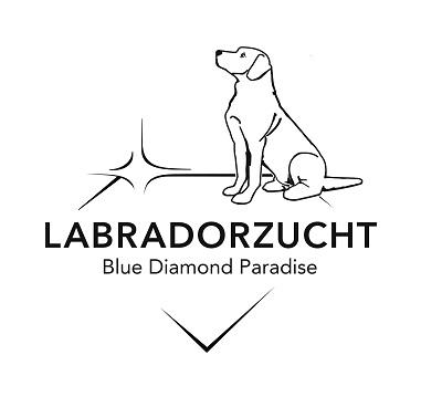 Labradorzucht Espelkamp