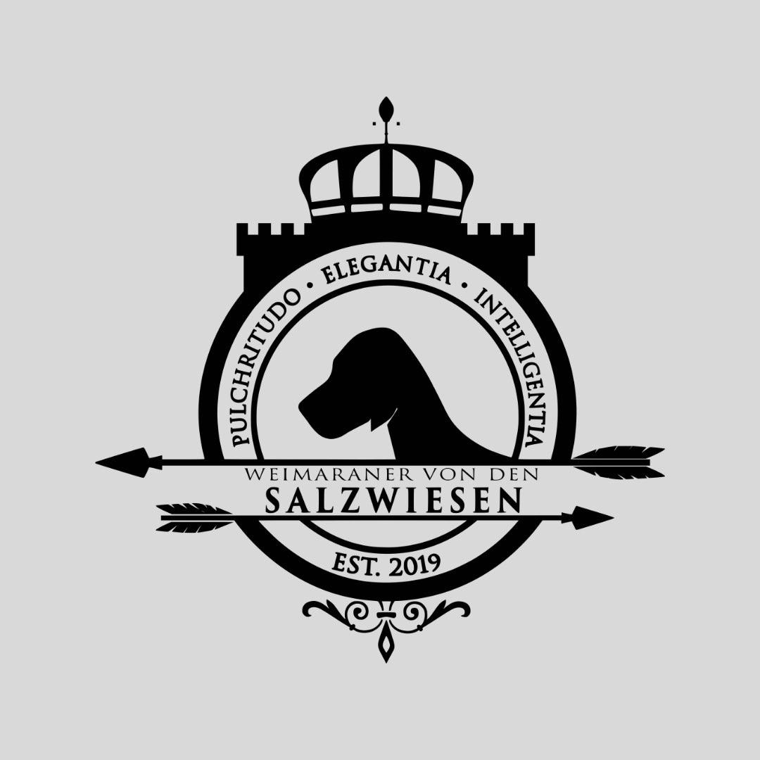 Weimaraner von den Salzwiesen