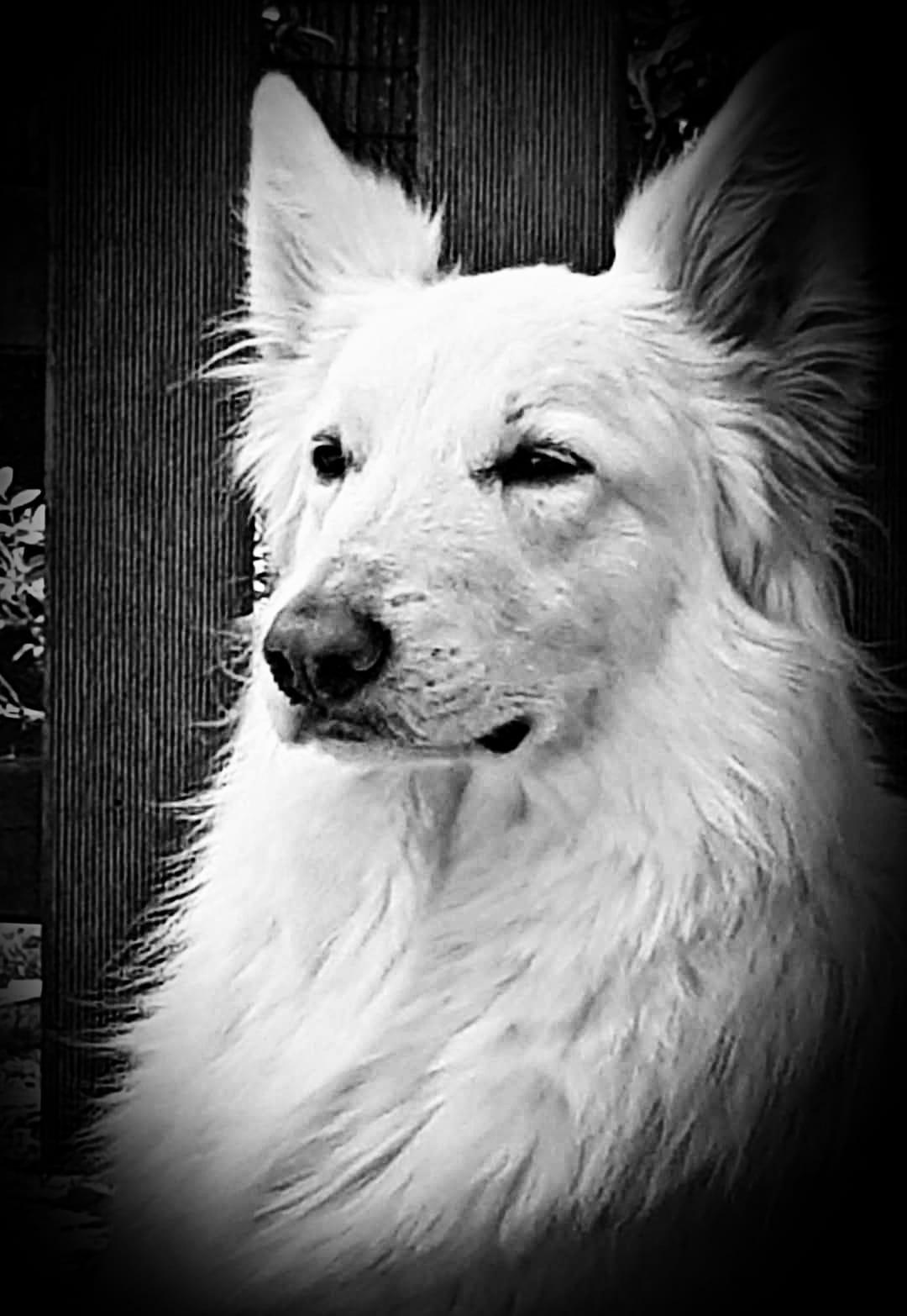 Zuchtstätte vom Tal der Treene