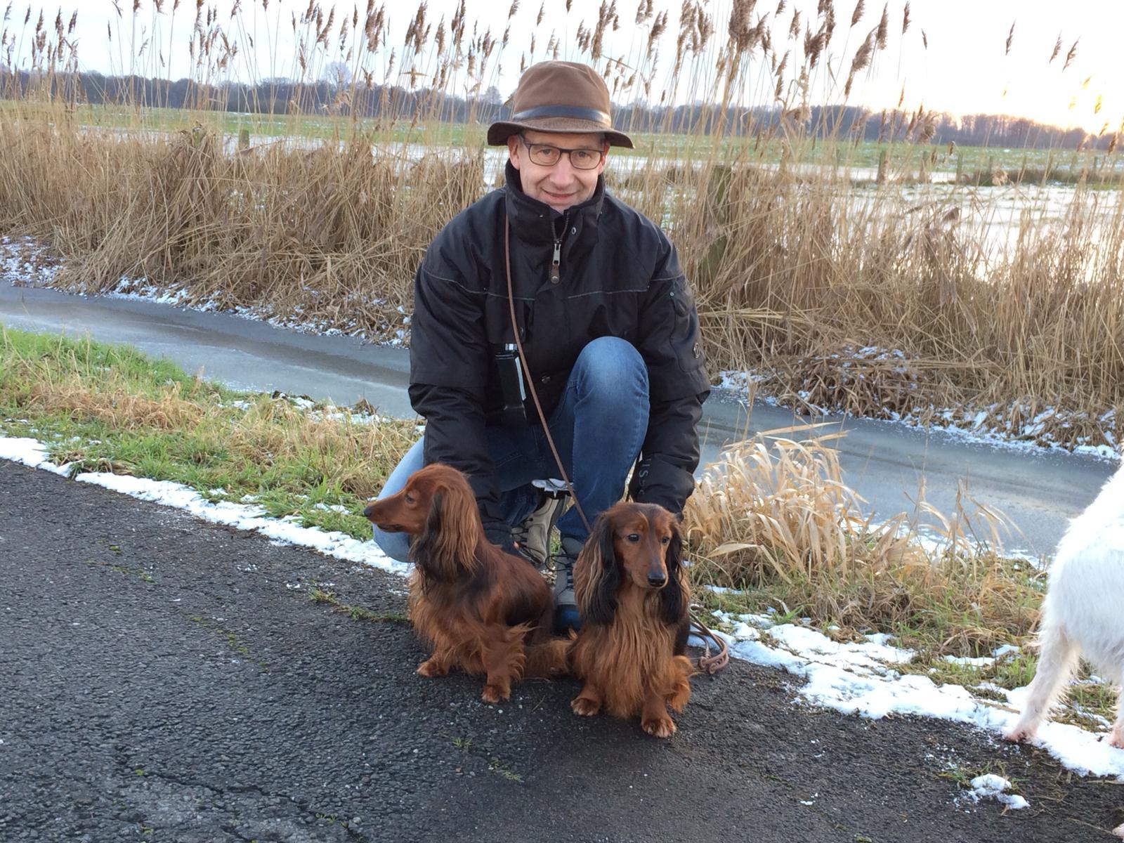 Langhaar Dackel von Asken 