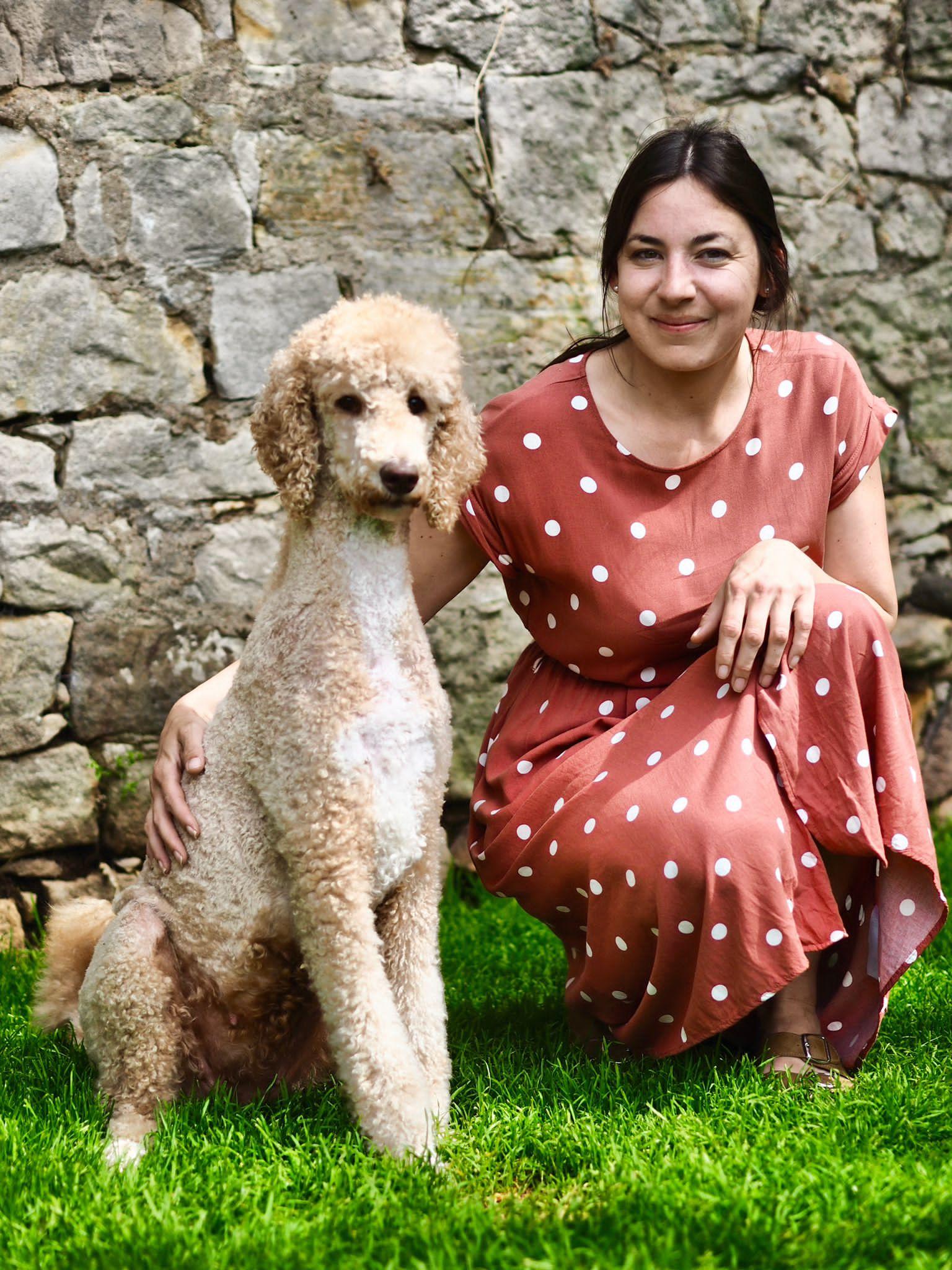 Königspudel von der Klostermauer