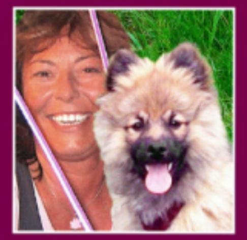 Elo®-Zuchtstätte von Werths Echte 