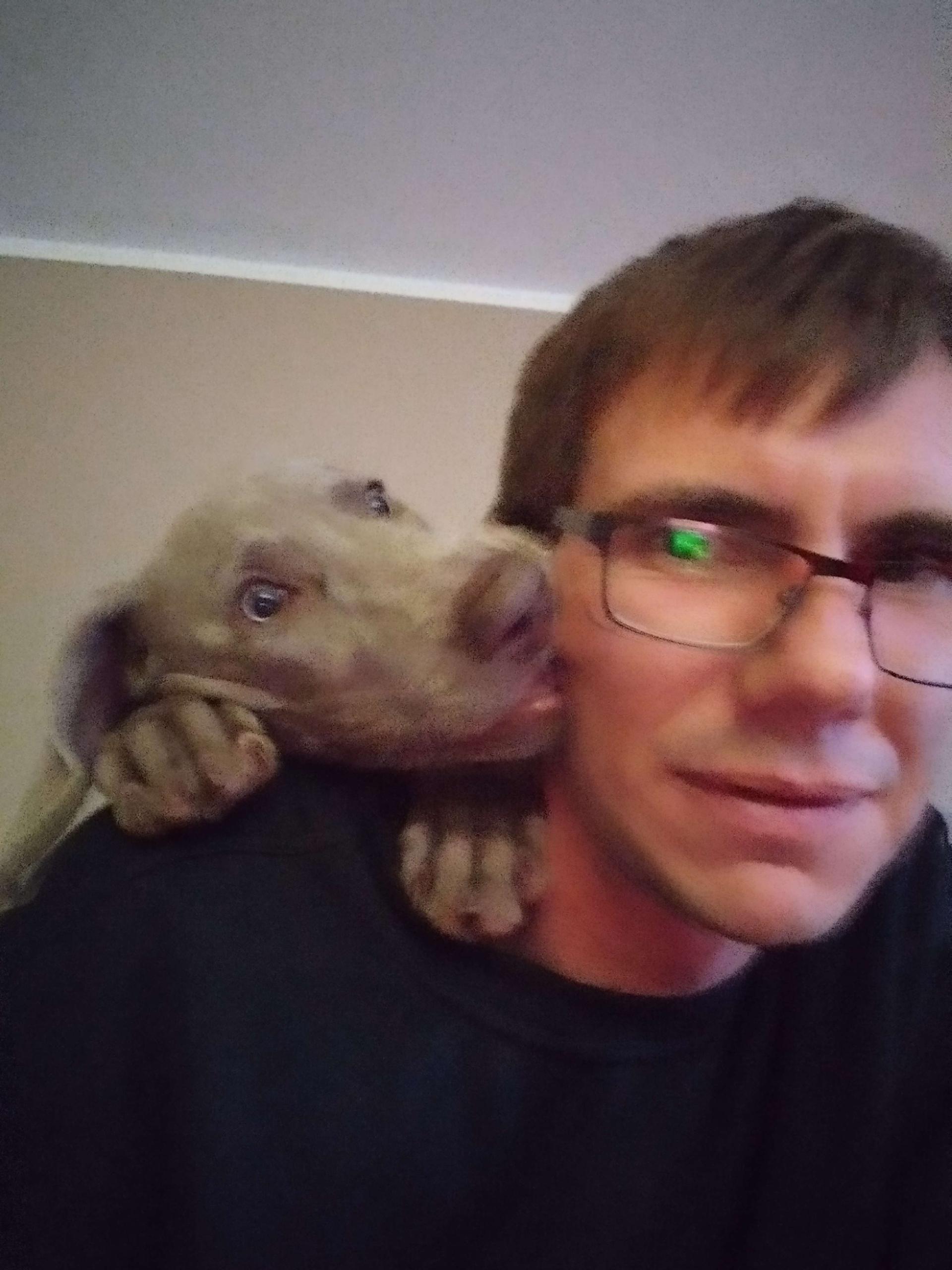 Weimaraner from Spirit of Eywa 