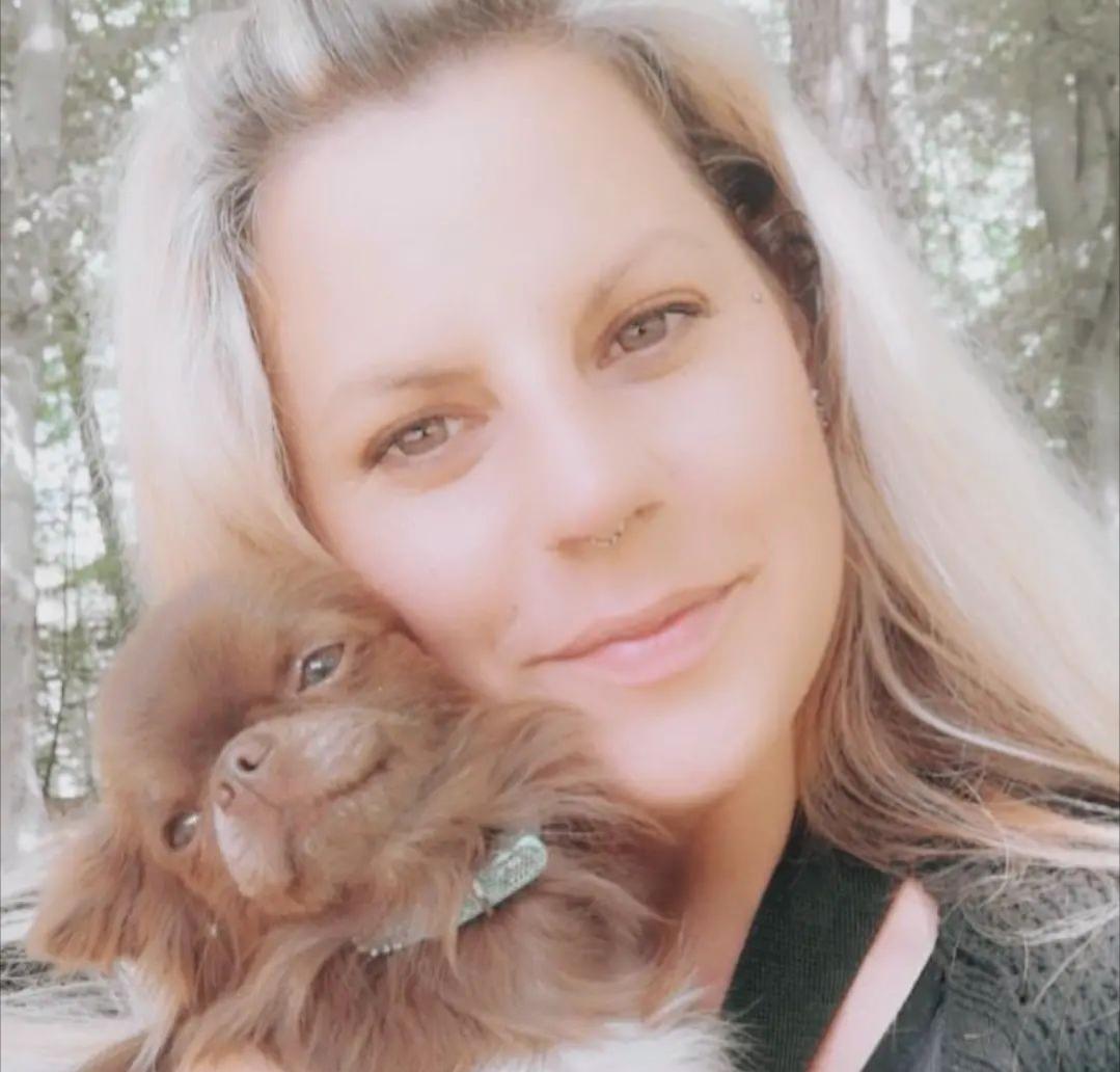 Chihuahuas von den Hellbergen 