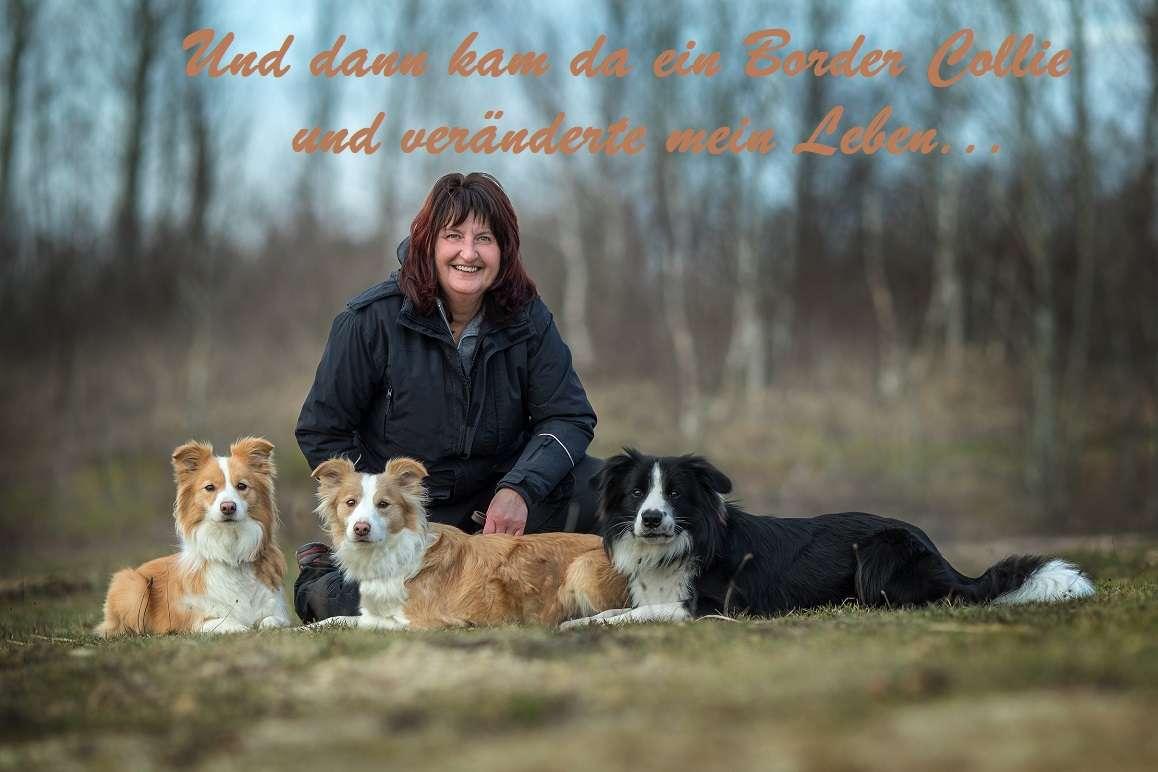  Border Collies Charming-Souls-on-Paws