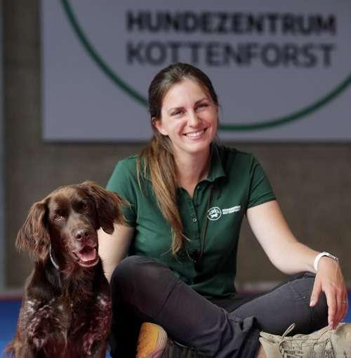 Jack Russell Terrier vom Quittengrund