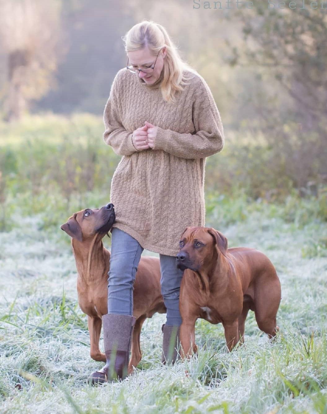 Rusape Rhodesian Ridgebacks