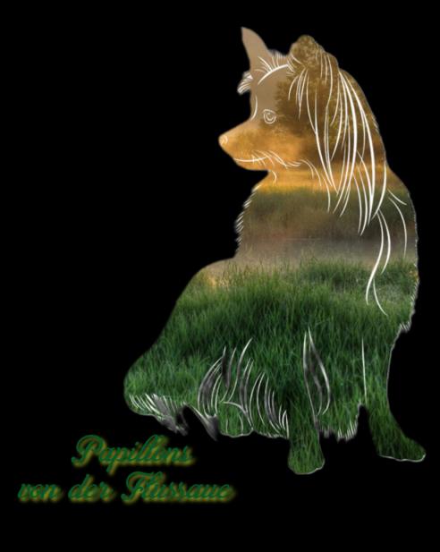 Papillons von der Flussaue 