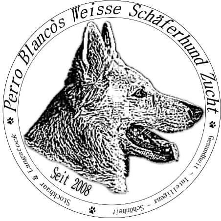 Perro Blanco's Weisse Schäferhund Zucht 