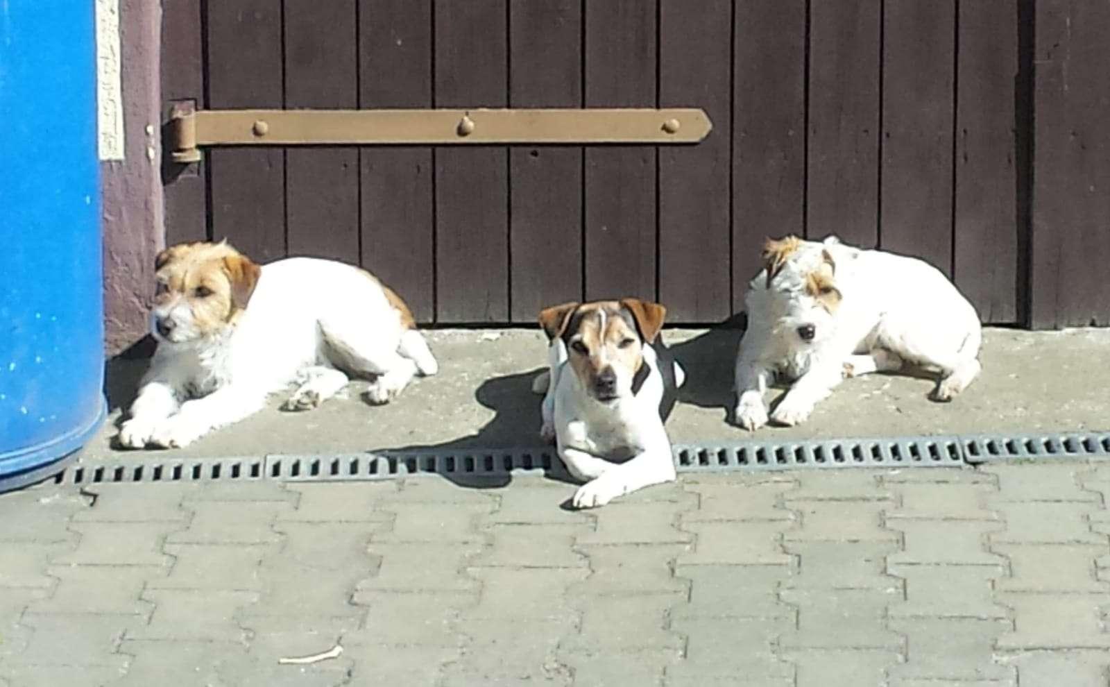 vom Reichenwalder Land