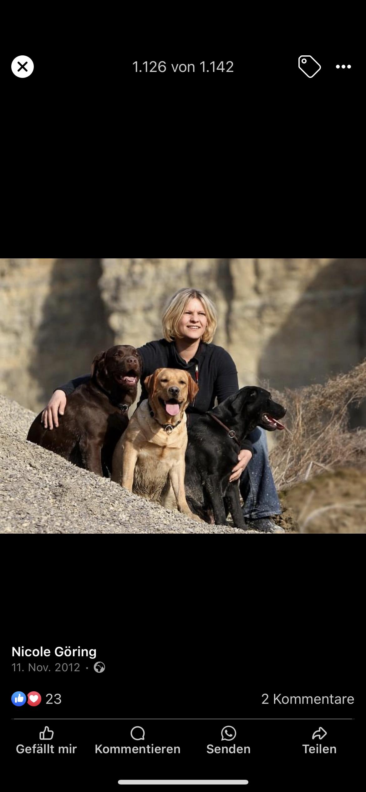 Retriever of Magic Forest 