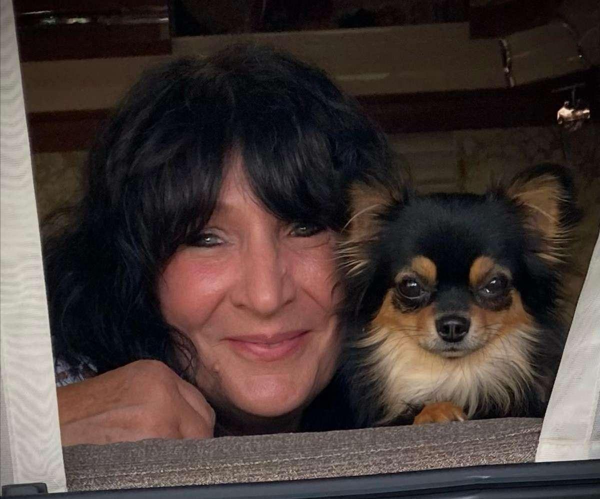 Chihuahuas von der Wölfchenschlucht