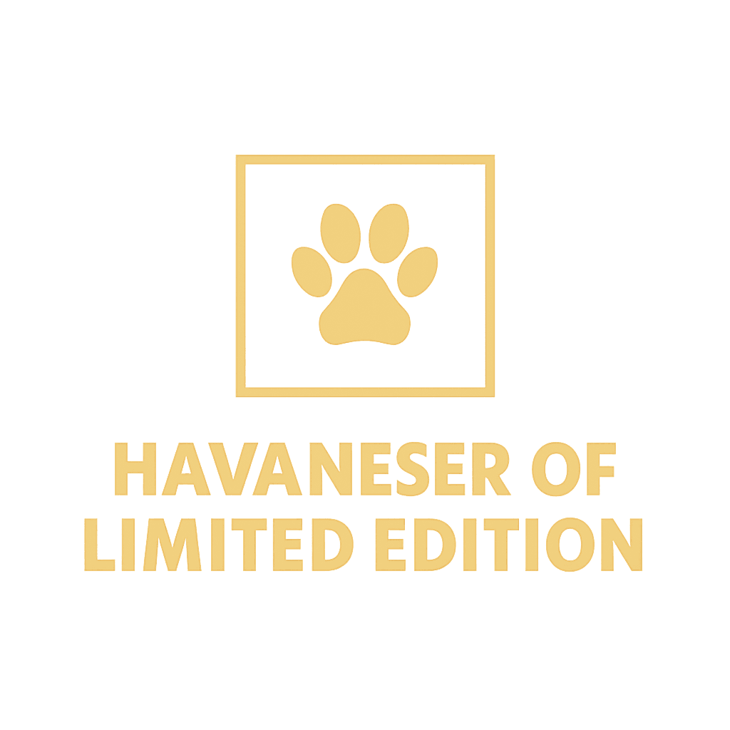 Havaneser of Limited Edition 