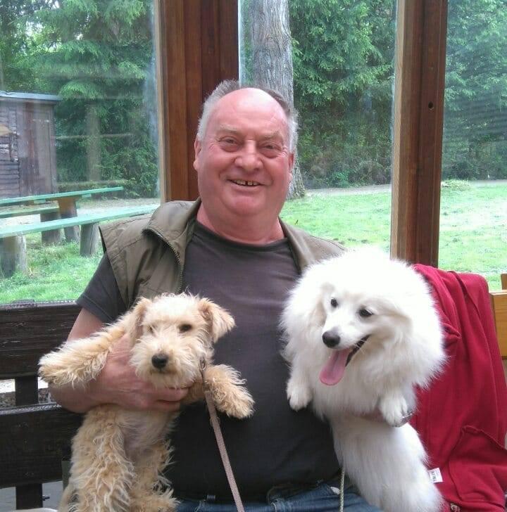 Lakeland Terrier vom Amur