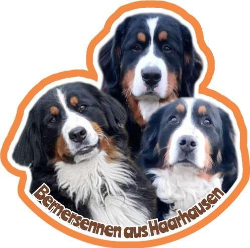 Bernersennen aus Haarhausen 