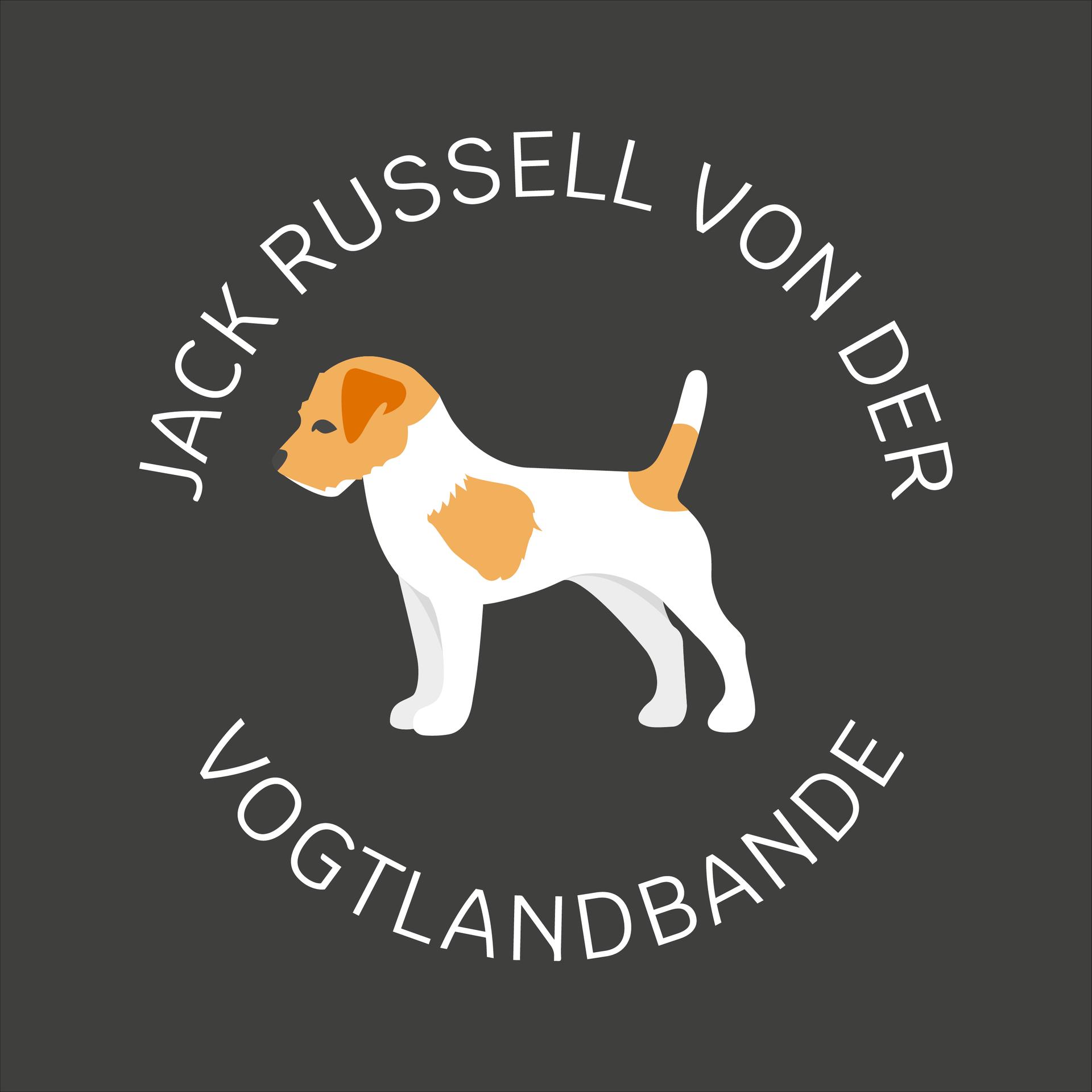 Jack Russell Terrier von der Vogtlandbande