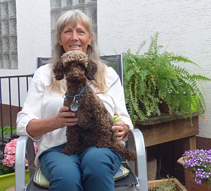 Pudelzucht von der Jade