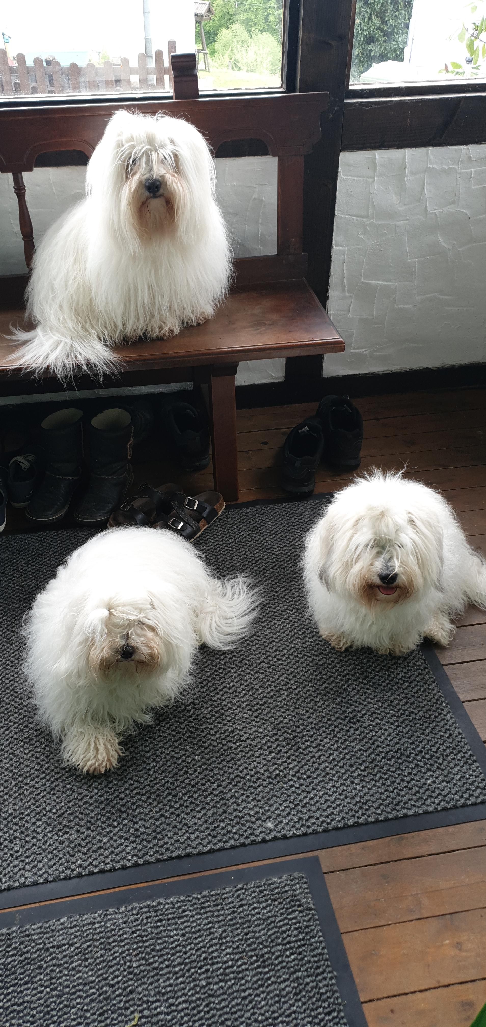 Sweet little white Angel of Paradise 