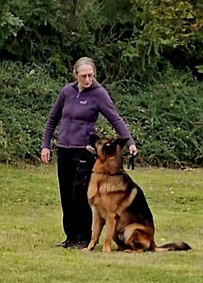 Schäferhundzucht Aus Bolivien