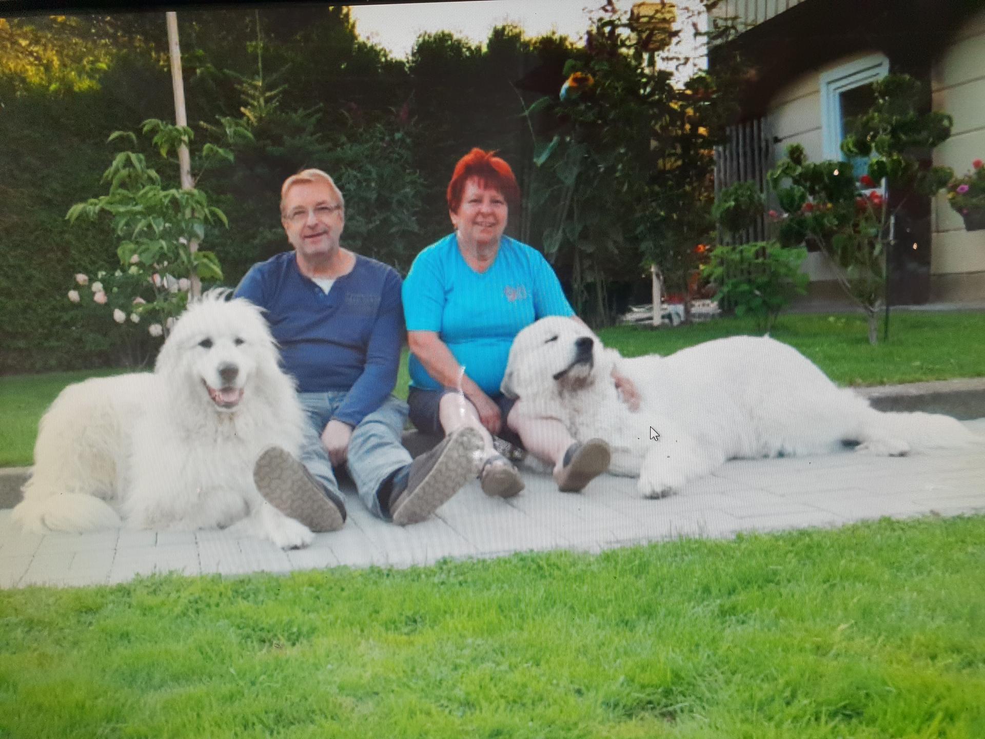 Pyrenaeenberghund von den Drei Spreequellen