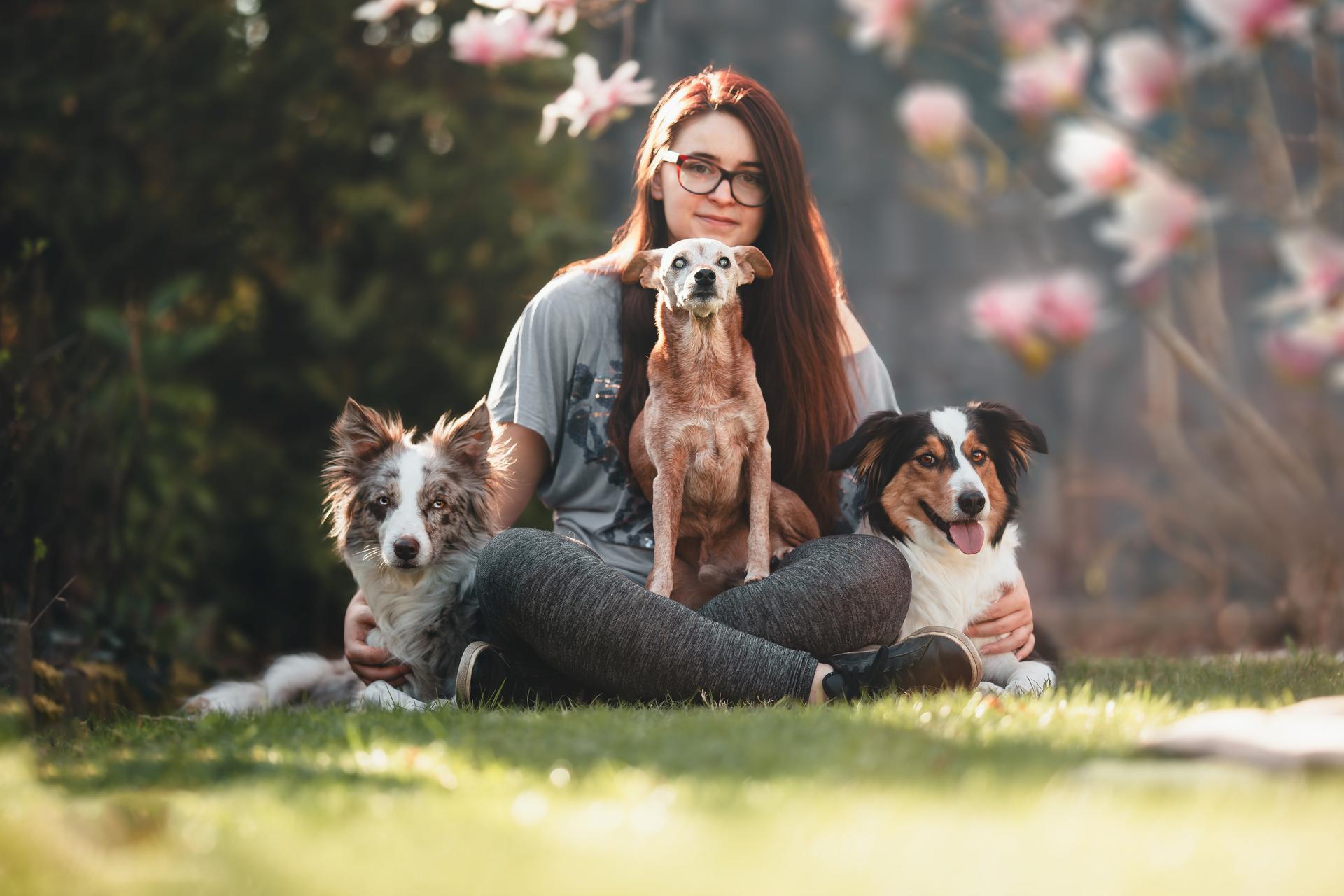 Beyond Borders Border Collies