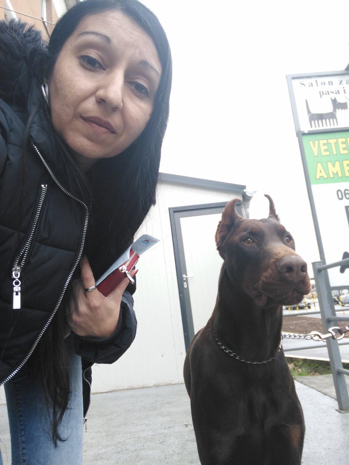 Euro Dobermann Zucht