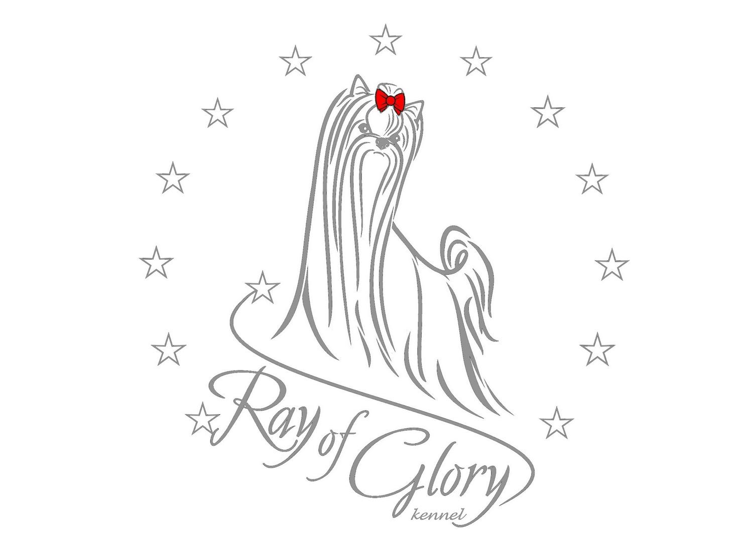 Yorkshire Terrier "Ray of Glory"