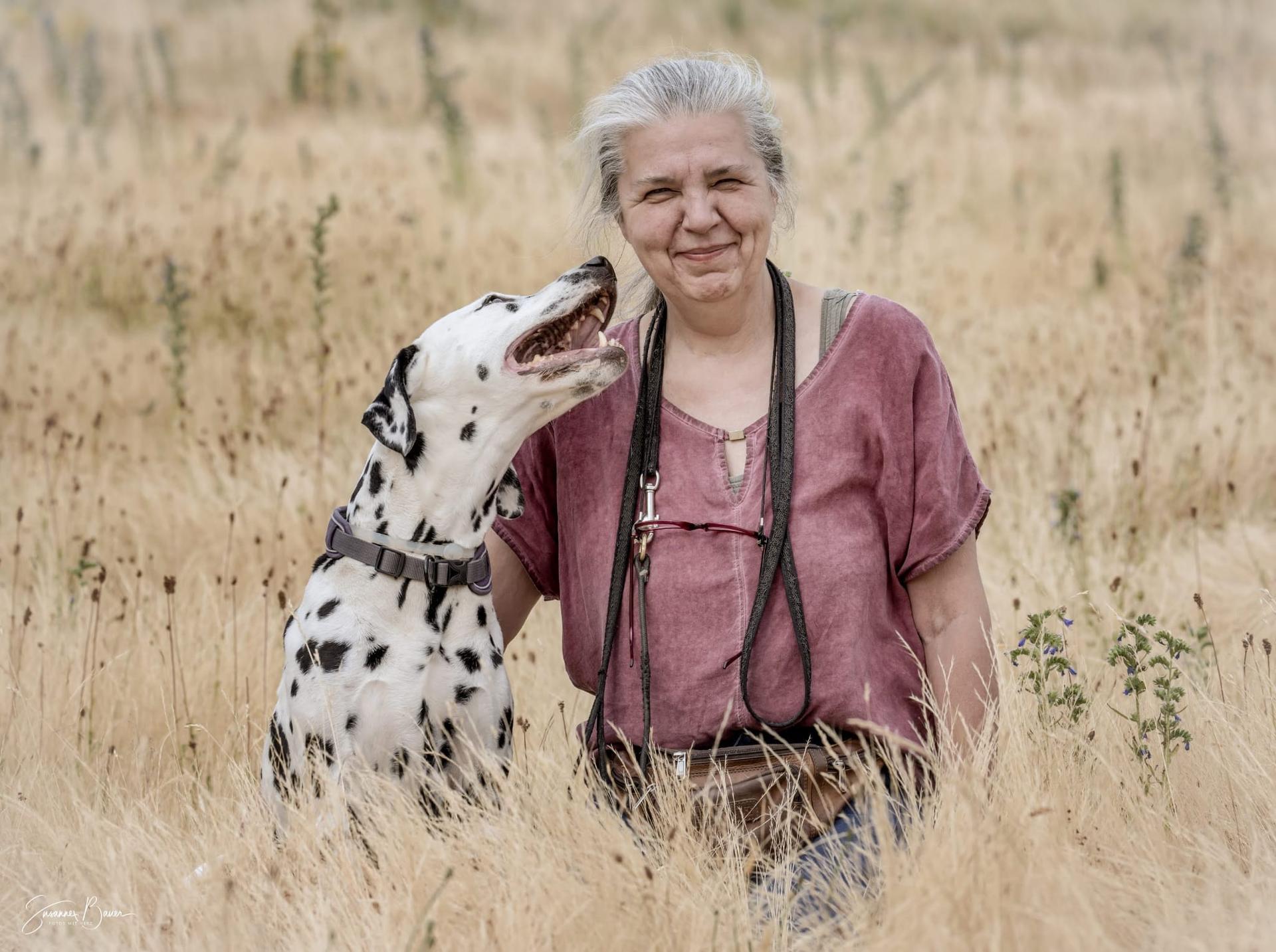 Dalmatinerzucht Punctum in Bochum / NRW